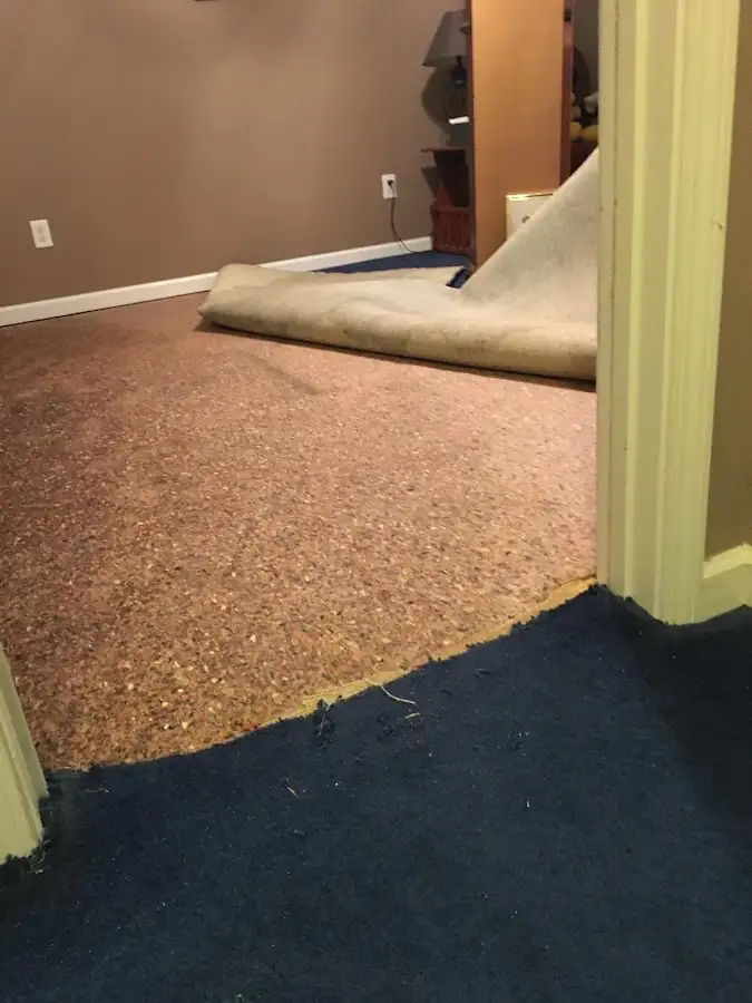 Carpet pad removal revealing water damage during Drying & Dehumidification in Berlin